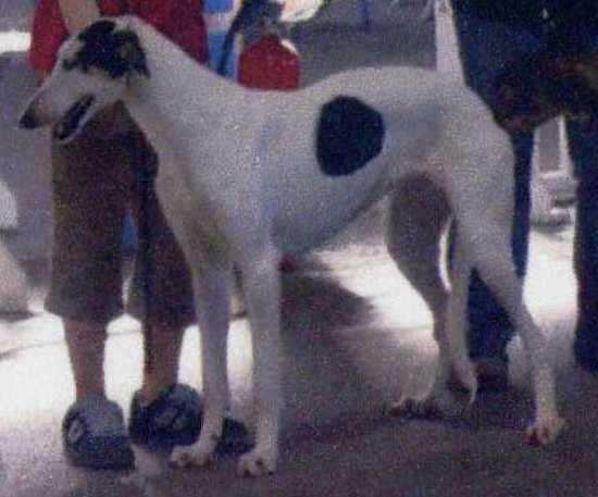 Publication : des Côteaux de Soubirous 