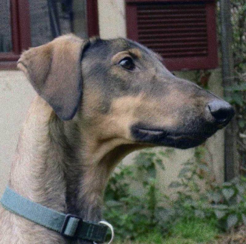 Publication : des Côteaux de Soubirous 