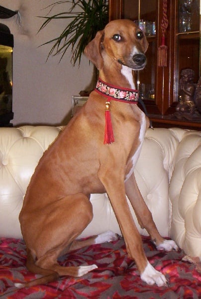 Publication : Du domaine des perles rares 