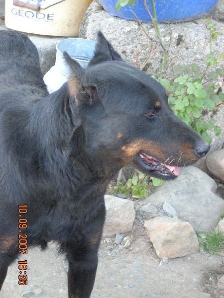 Publication : de la Passion d'une Vie