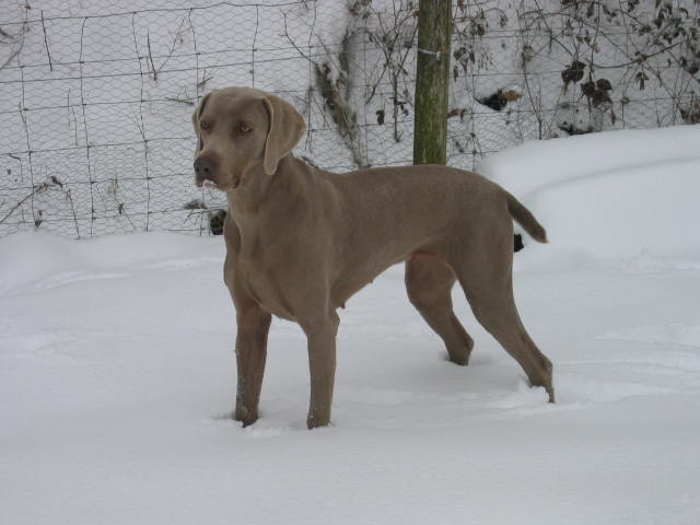 Publication : du Puits Carré