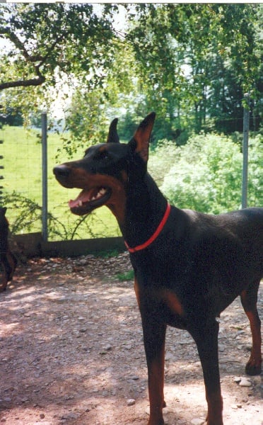 Publication : Du caire de la prairie 