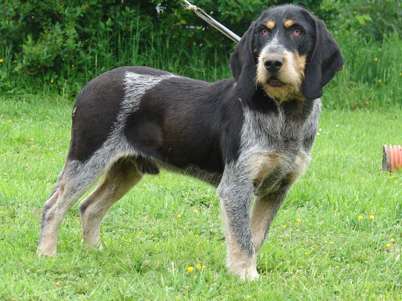 Publication : de la vallée du frout 