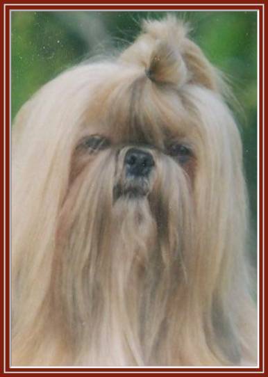 Publication : (Sans Affixe) Auteur : eleveur