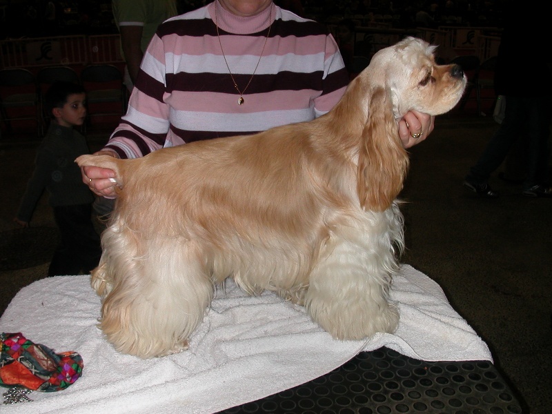 Varenne du royaume des vents