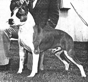 CH. Finwar's Quetzalcoatl