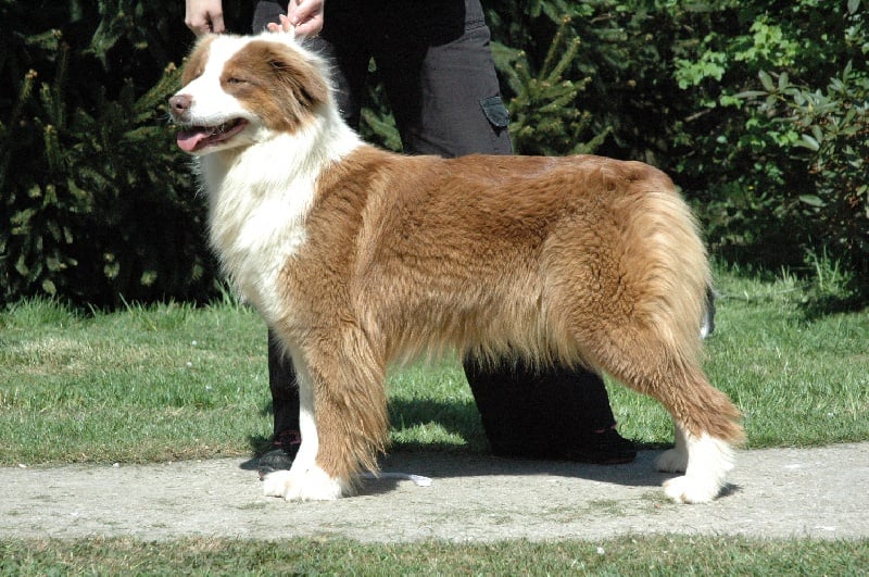 Vanina s'a pawnees des Gardiens d'Hadès