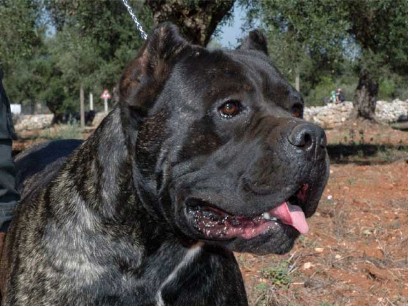 Publication : De finibus terrae 