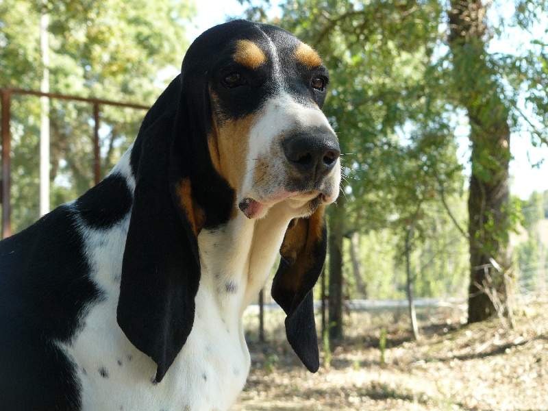 Publication : Des hauts d'en maze