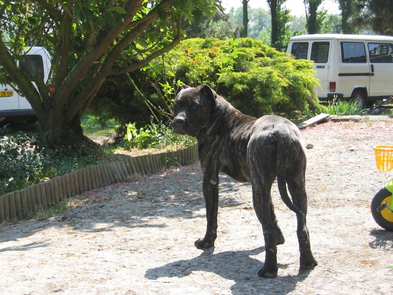 Publication : des Gardiens des Pelerins