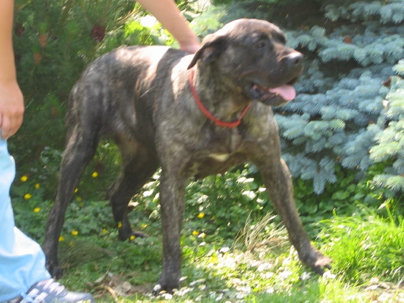 Publication : des Gardiens des Pelerins 