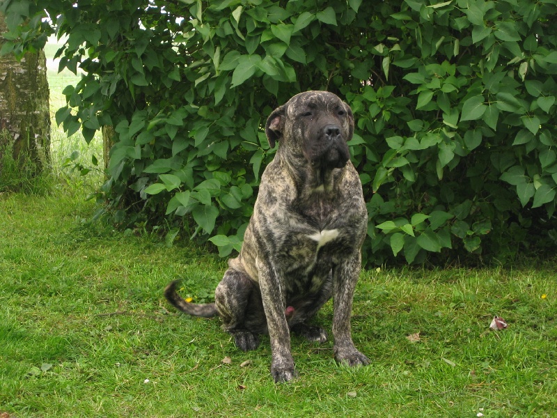 Publication : des Gardiens des Pelerins