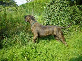 Publication : des Gardiens des Pelerins 