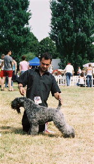 Publication : du Harpouy D'Auzan Auteur : sb