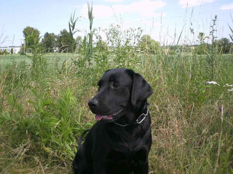 Publication : des cristaux de liac 