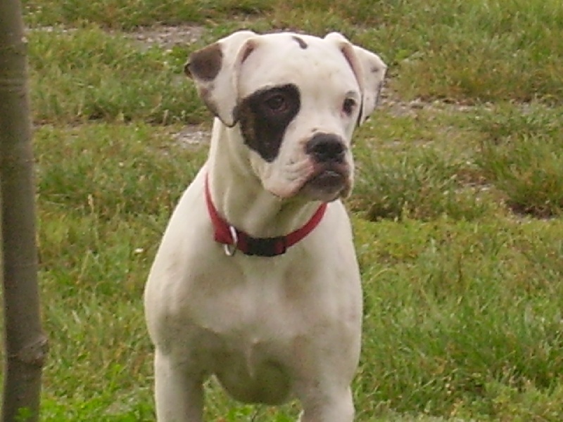 Publication : de l'Etoile du Centaure