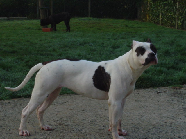 Publication : du Paradis d'Anthéa 