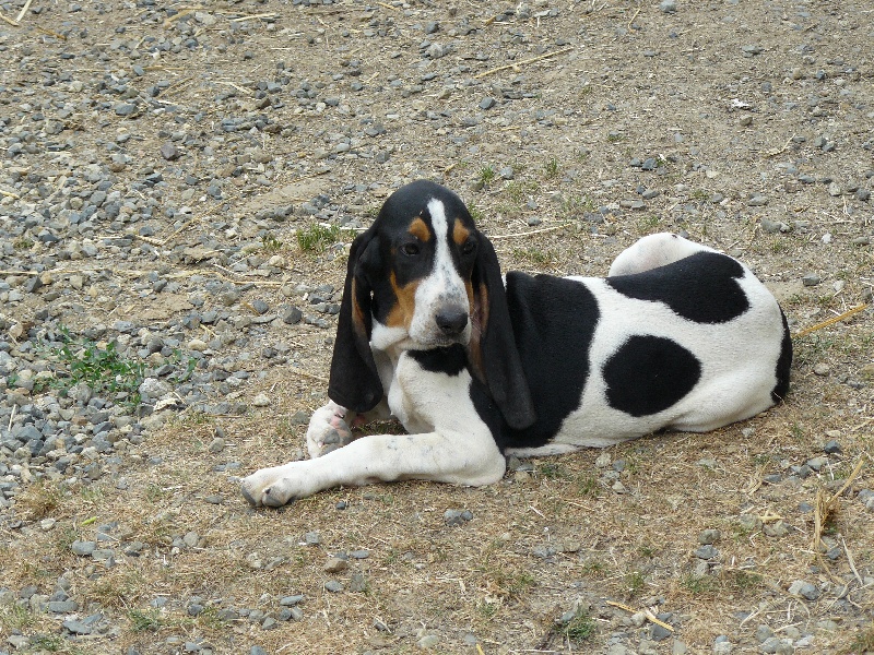 Publication : Des hauts d'en maze 