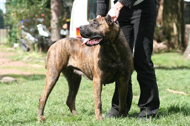 Publication : des Gardiens des Pelerins 