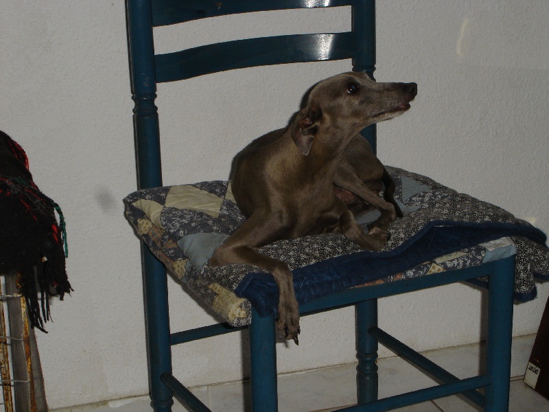 Publication : De la roche hue 