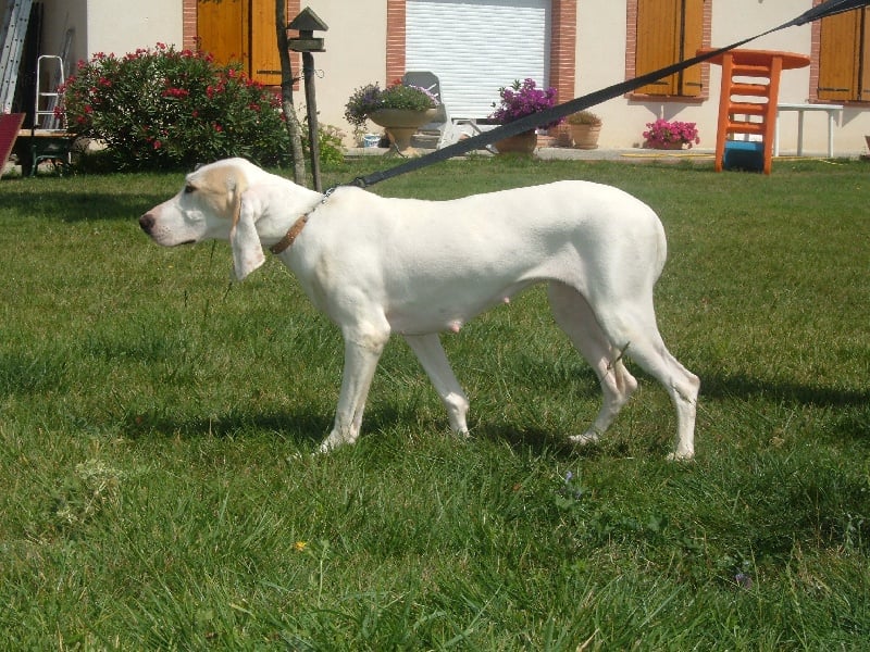 Publication : de la coupolle de Beauregard