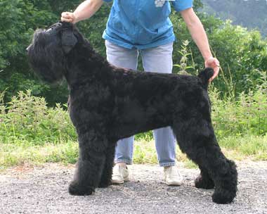 Publication : de la Vie en Bleu 