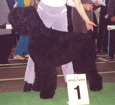 CH. Bylina gospozha udacha (Sans Affixe)