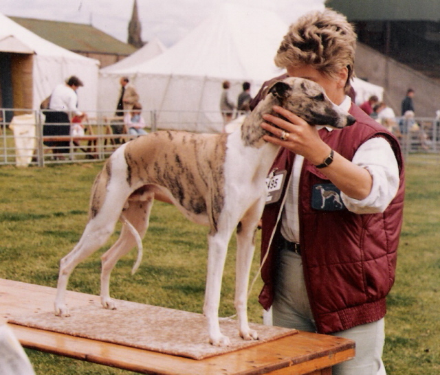 CH. hardknott Quadrille