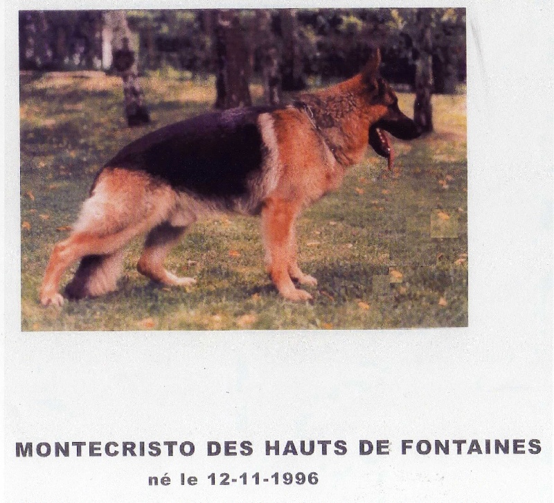 Monte christo des Hauts de Fontaine