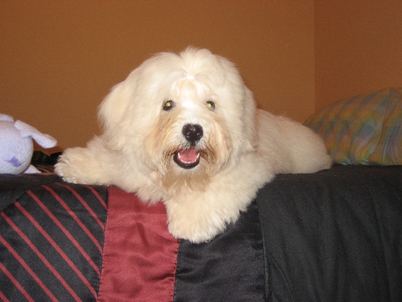 Publication : Muguiris