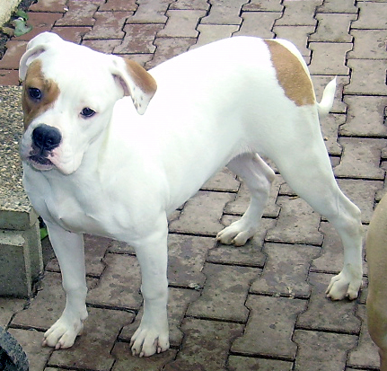 Publication : de l'Etoile du Centaure