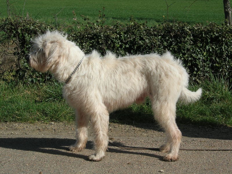 Pamir du sentier d'Aimeron