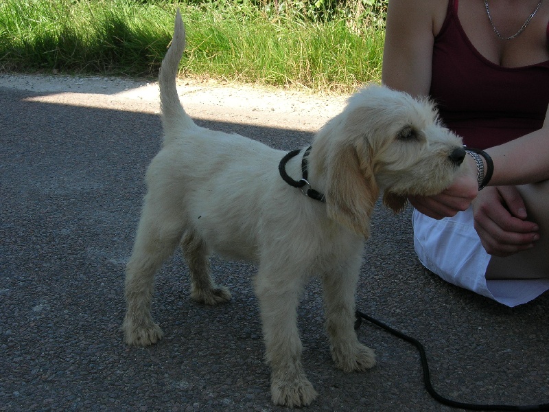 Publication : du sentier d'Aimeron 