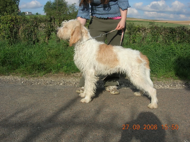 Publication : du sentier d'Aimeron 