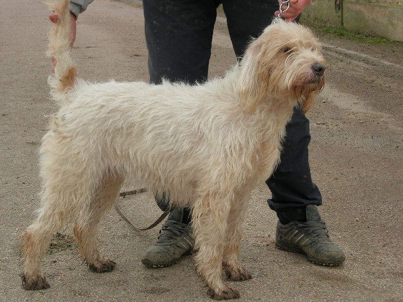 Publication : du sentier d'Aimeron 