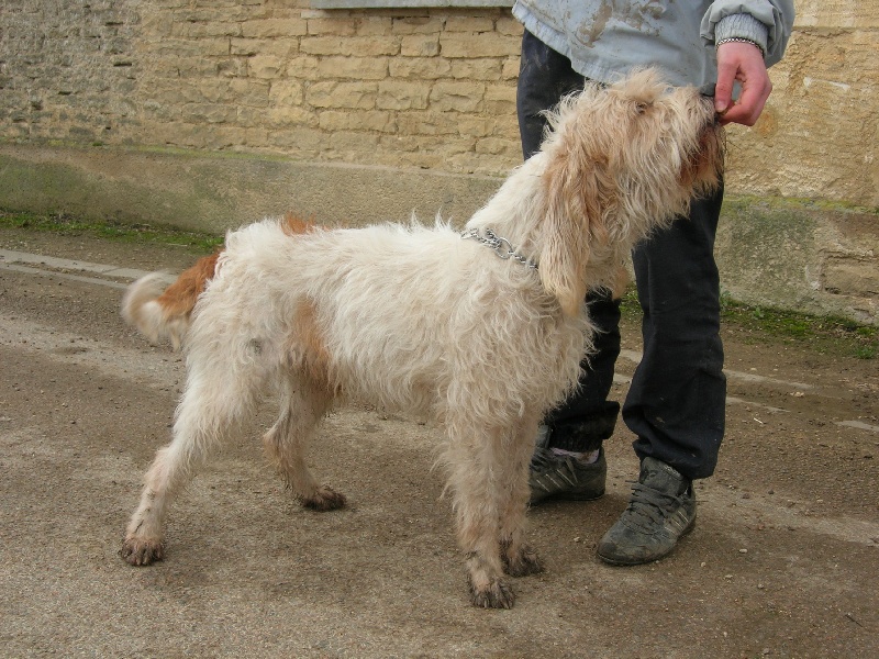 Publication : du sentier d'Aimeron 