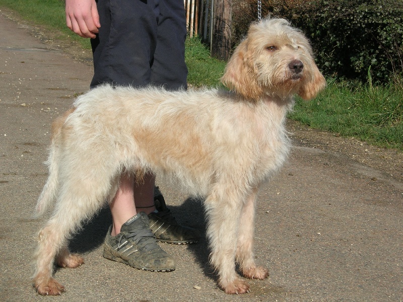 Publication : du sentier d'Aimeron 