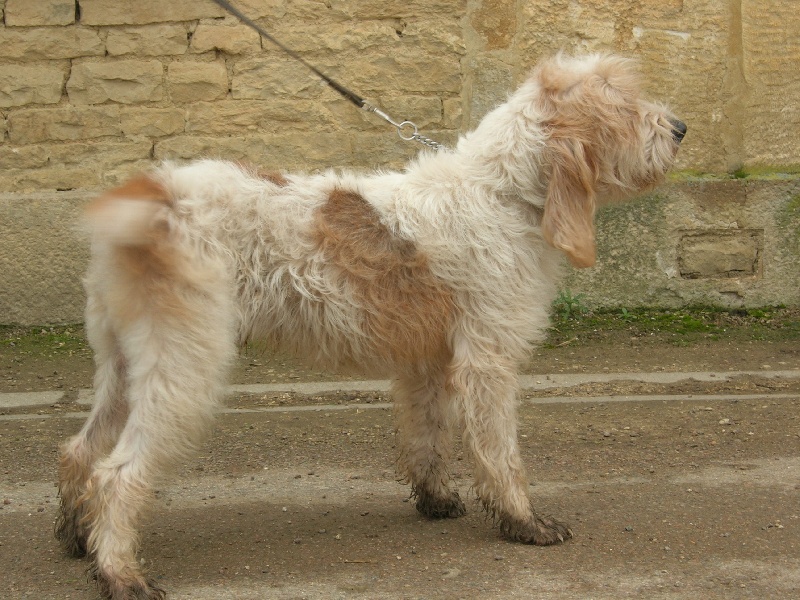 Publication : du sentier d'Aimeron 