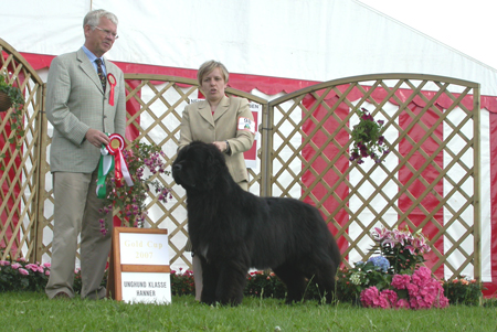 Good as gold anmalamual del basaburua