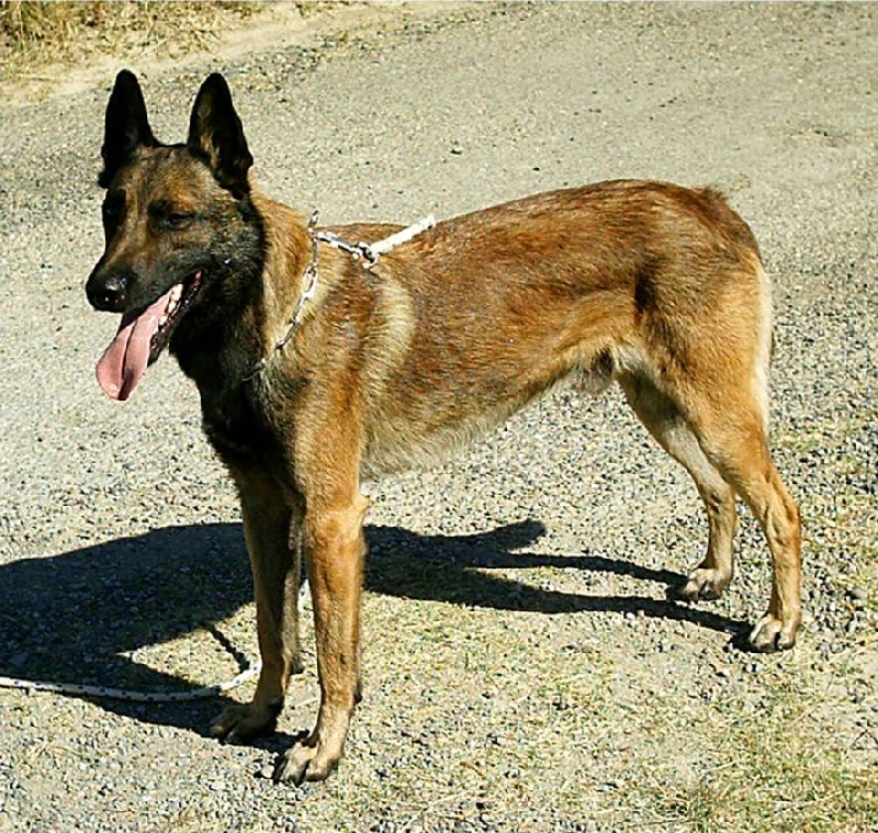 Arak du Mas des Crozes