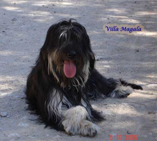 Publication : Villa Magala 