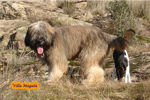 Publication : Villa Magala