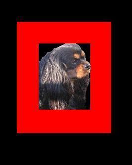 Coup ci coup ça des marais de Bremes