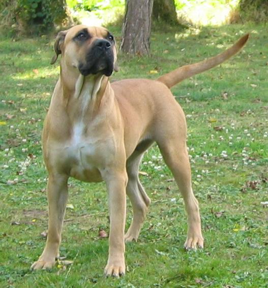 Publication : des Gardiens des Pelerins