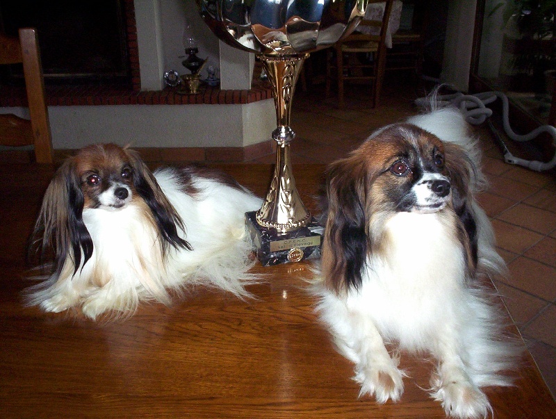 Publication : du fond de la vallée 