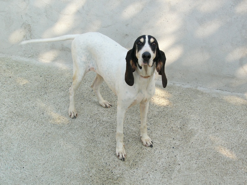 Ulysse (Sans Affixe)