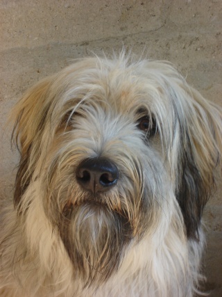 Publication : de la Vallée des Fées