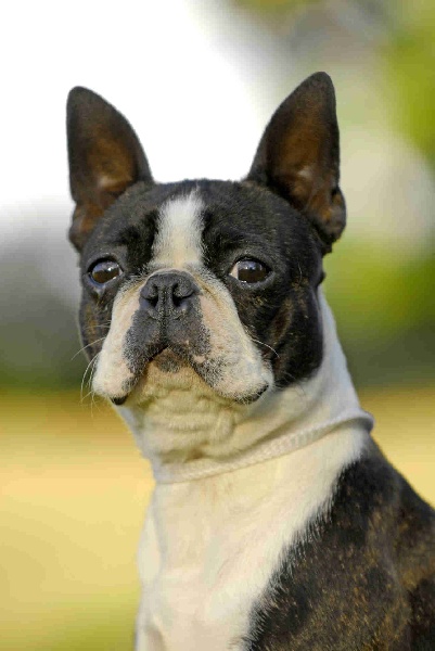 Publication : Du grand fresnoy 