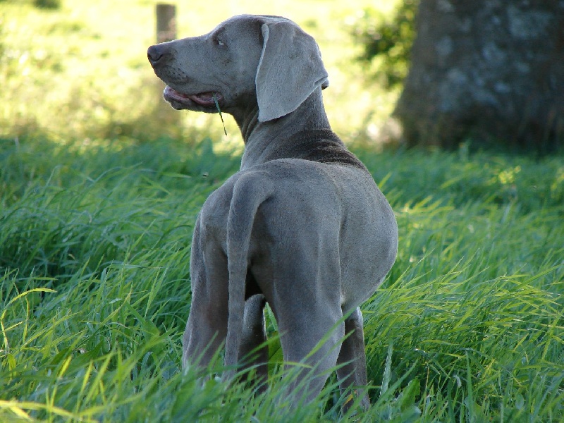 Publication : du val de Lienne 