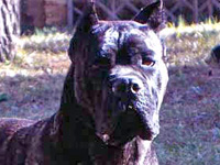 Publication : De finibus terrae 